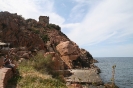 Bild_1