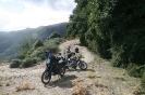 Bild_3