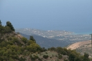 Bild_7
