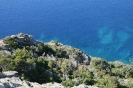 Bild_8