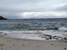 Bild_7