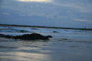 Bild_144