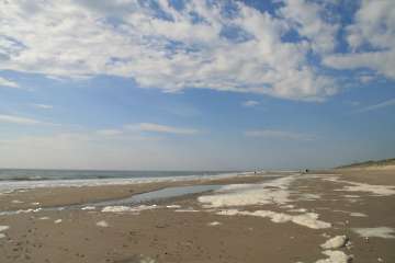 Bild-26