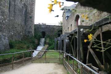 Bild-37