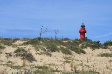 Bild-85
