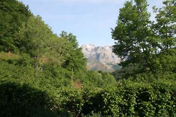 Bild-117