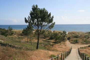 Bild-120