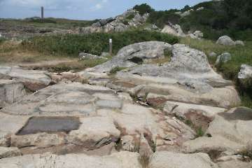Bild-131