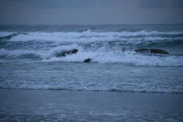 Bild-145