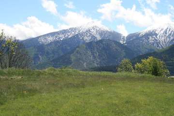 Bild-196