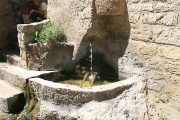 Bild-209