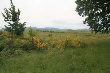 Bild-216