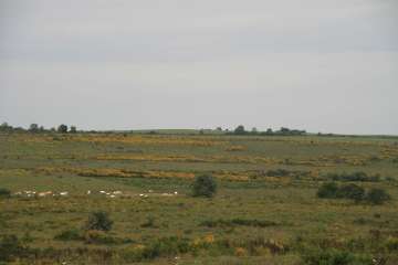 Bild-214