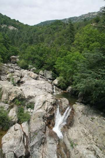 Bild-217