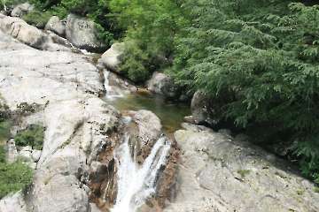 Bild-218