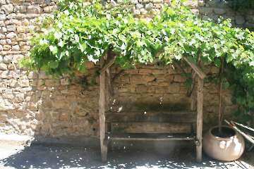Bild-221