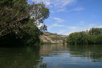 Bild-228