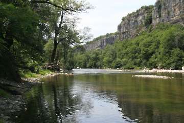 Bild-231