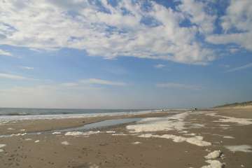 Bild-4