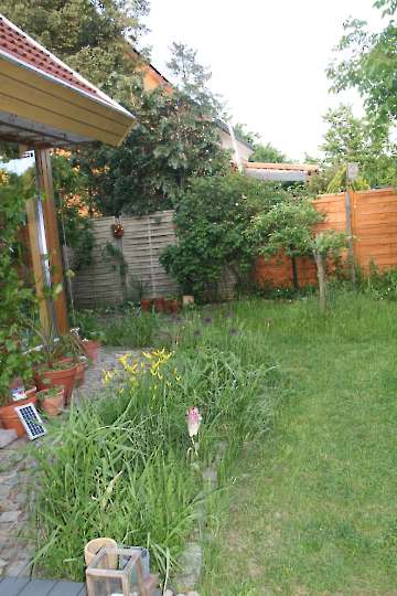 Bild-2