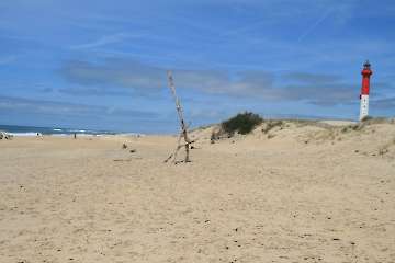 Bild-13